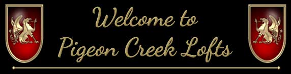Welcome to Pigeon Creek Lofts